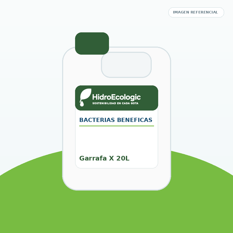 BACTERIAS BENEFICAS